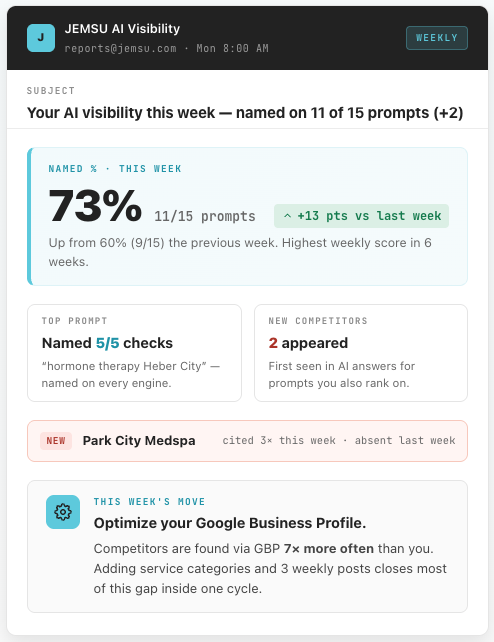 Weekly AI Visibility email report