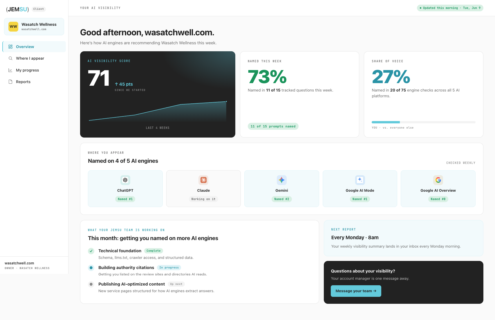 AI Visibility dashboard overview